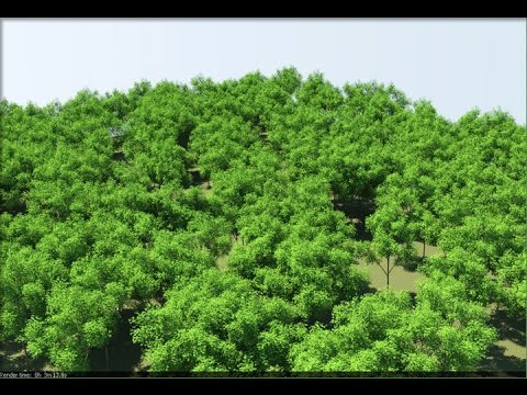 Vray proxy trees sketchup download